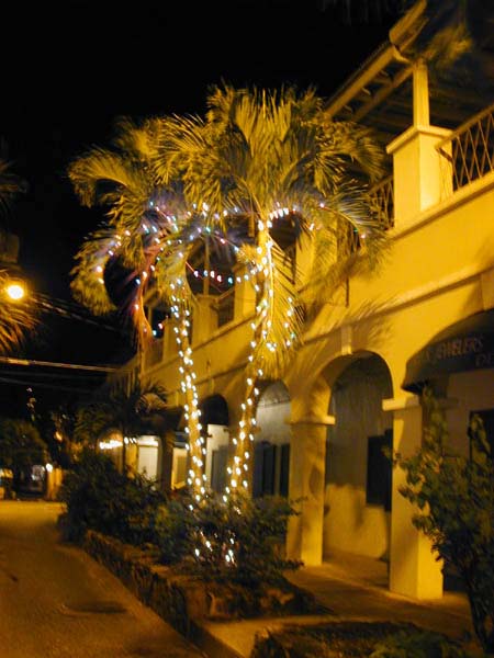 xmaspalm